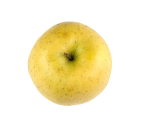 yellow apple