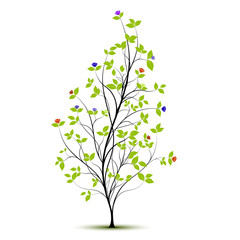 Naklejka premium young spring tree with flowers - vector silhouette