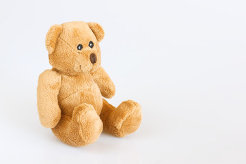 Teddy bear on a white background