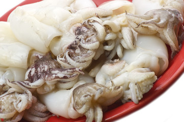 Fresh cuttlefish on the red plate