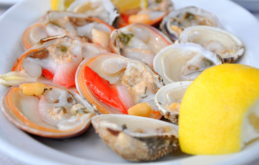 Cockles & smooth clams closeup