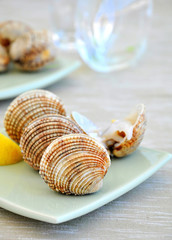 Fresh mediterranean clams/cockles appetizer