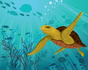 Muurstickers Zeeschildpad © Natali Snailcat