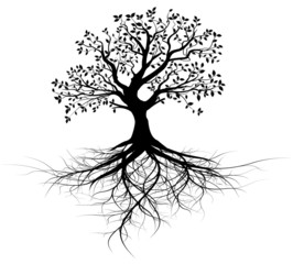 vecteur série, arbre avec racines vectoriel noir - obrazy, fototapety, plakaty