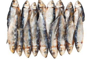 dried fish isolated