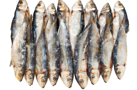 Dried Fish Isolated