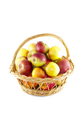 Apples