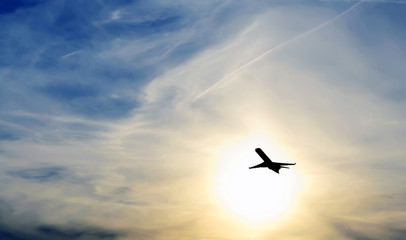 Obraz premium plane i sunset