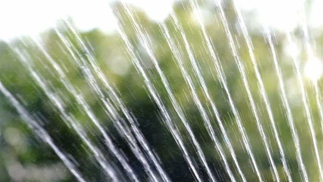 Sprinklers. Sprinkler spraying water on back yard green grass