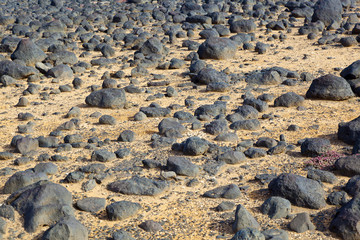 dry area with old lava stones  at the coastline