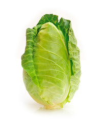 Fototapeta premium Green cabbage on white background