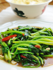 delicious thai food