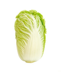 Fototapeta premium green cabbage on white background