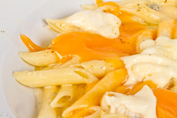 Penne pasta with parmesan, dor blue, chamamber and mozzarella