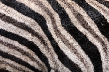 Zebrastreifen