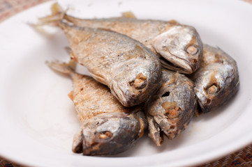 Fried of mackerel fish