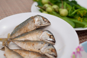 Fried of mackerel fish