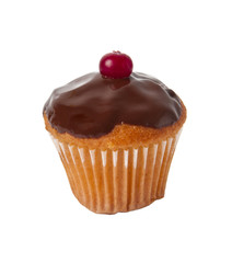 cupcake with chocolate icing