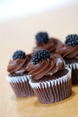 chocolate cupcakes