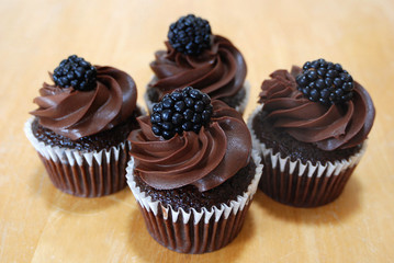 Chocolate Cupcakes with blackberries on top