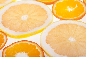 Fresh slices of citrus fruits in studio backlight