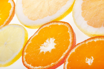 Fototapeta na wymiar Fresh slices of citrus fruits in studio backlight