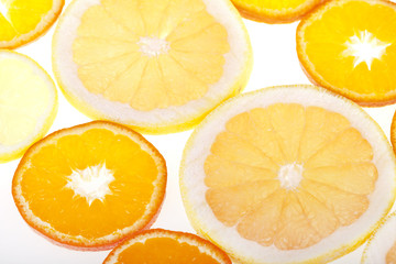 Fresh slices of citrus fruits in studio backlight
