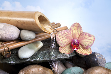 Spa et Thalasso © PUNTOSTUDIOFOTO Lda