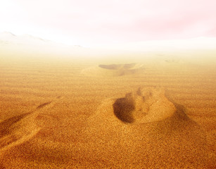 Footprints in sand desert