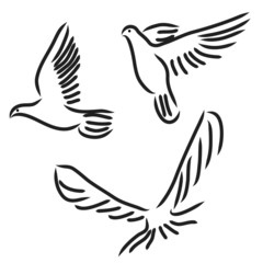 Set of white vector doves.