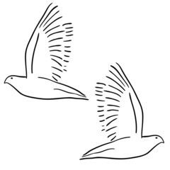 Concept of love or peace. Set of white vector doves.