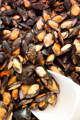 cozze