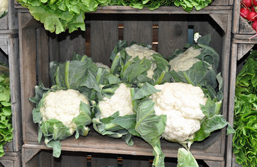 Blumenkohl