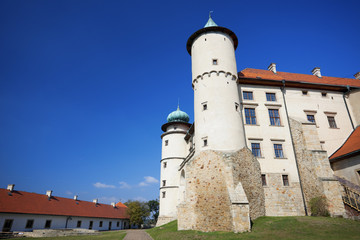 Fototapeta na wymiar Castle Nowy Wisnicz