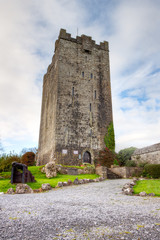Fototapeta na wymiar Carrigaholt Zamek został zbudowany przez McMahonów w Irlandii.