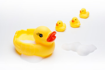 yellow duck with her babies