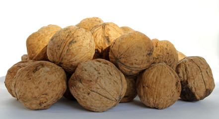 Walnut