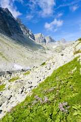 valley under Prielom, Vysoke Tatry (High Tatras), Slovakia