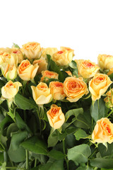 Yellow roses