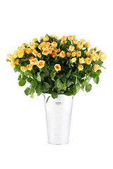 Bouquet of roses