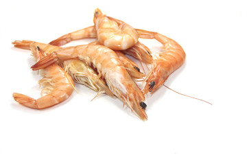 crevettes