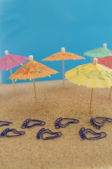 walking along the miniature paradise