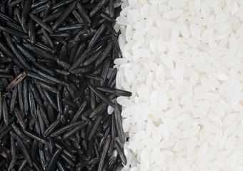 White and wild rice