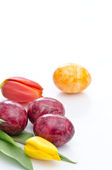Easter eggs with tulips