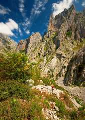 Fototapeta na wymiar Landscape of high mountains at summer in Spain