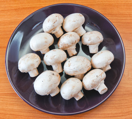 mushrooms on plate