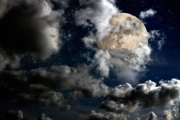 Foto op Canvas Full moon night © Zacarias da Mata
