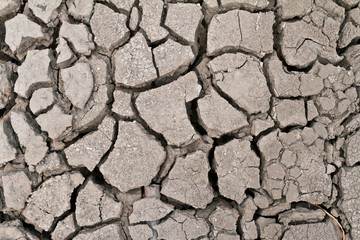 arid ground land surface