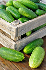 cucumbers