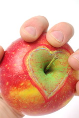 Kolorowe jabłko w dłoni - obrazy, fototapety, plakaty